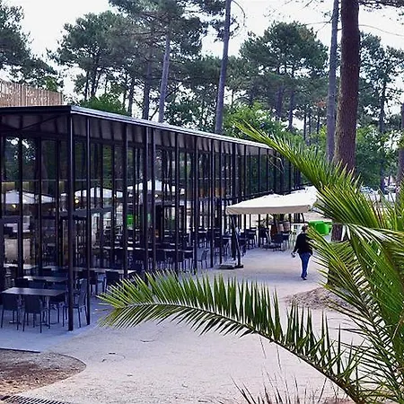 Lege-cap-ferret 3p 6 Chalet Forestieres *