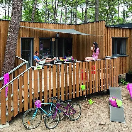 Lege-cap-ferret 3p 6 Chalet Forestieres *