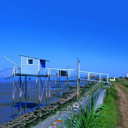 Lege-cap-ferret 3p 6 Chalet Forestieres *
