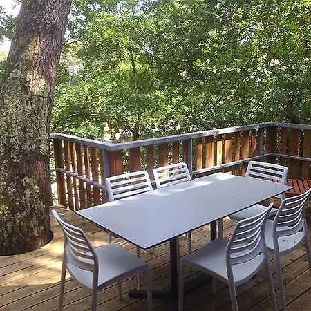 אתר נופש Lege-cap-ferret 3p 6 Chalet Forestieres