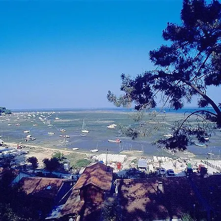אתר נופש Lege-cap-ferret 3p 6 Chalet Forestieres *