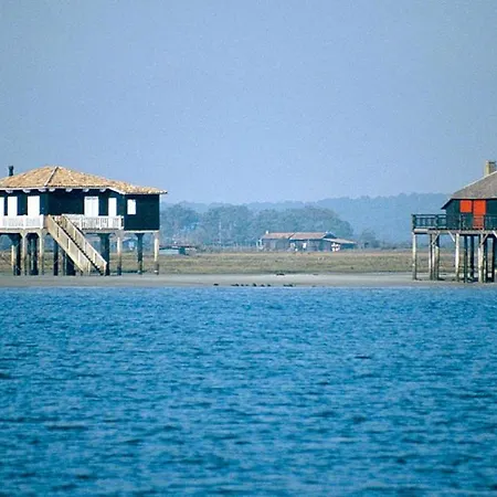 Lege-cap-ferret 3p 6 Chalet Forestieres Lège-Cap-Ferret