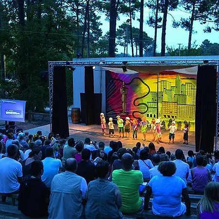 Lege-cap-ferret 3p 6 Chalet Forestieres אתר נופש Lège-Cap-Ferret