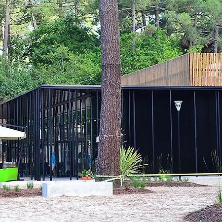 Lege-cap-ferret 3p 6 Chalet Forestieres אתר נופש *