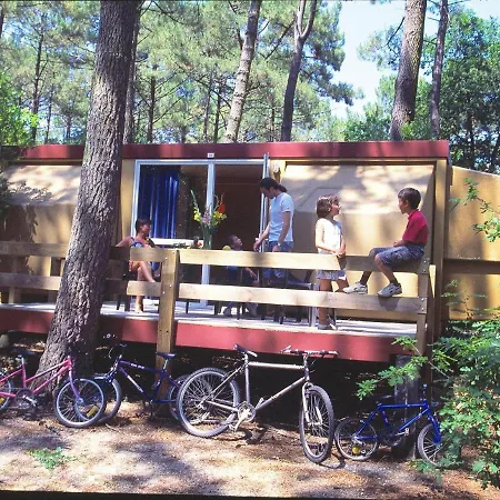 Lege-cap-ferret 3p 6 Chalet Forestieres *